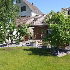 Gemuetliches, Freistehendes Ferienhaus